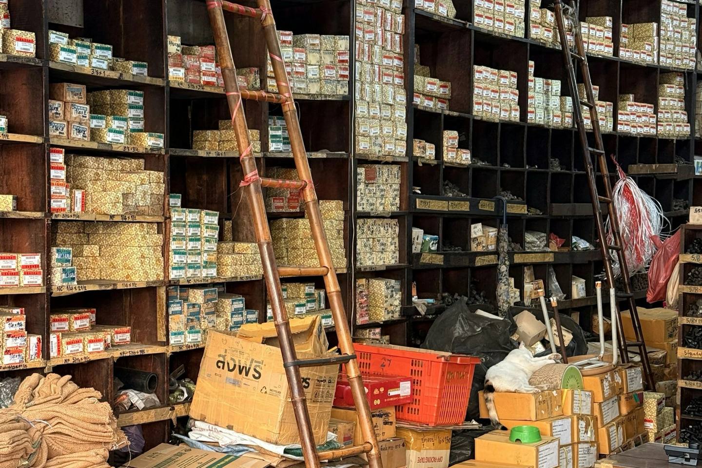 A small hardware shop with shelves of boxed stock and a ladder