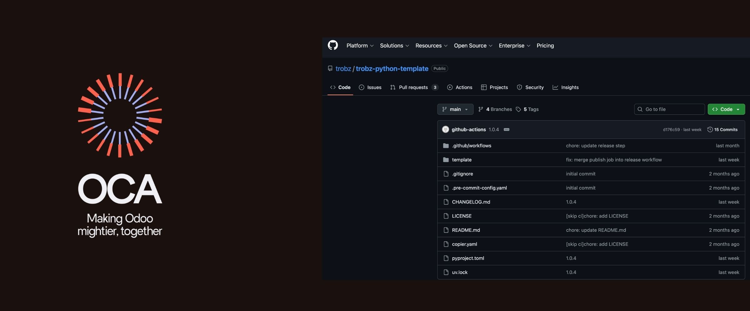 Introducing Trobz Python Template