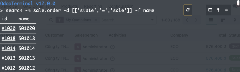 Odoo Terminal — terminal panel open inside Odoo with a search command running