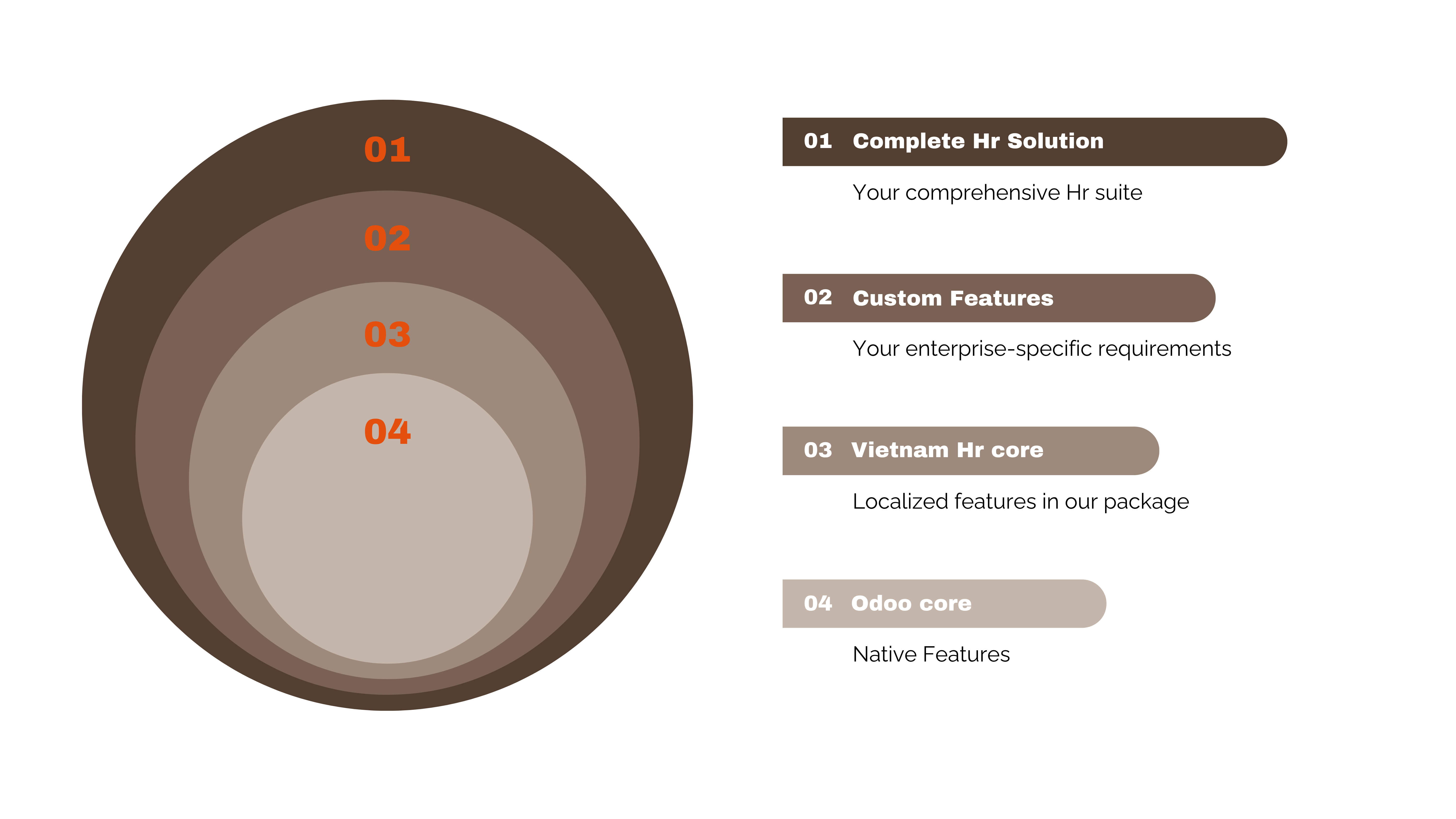Odoo Core HR for Vietnam