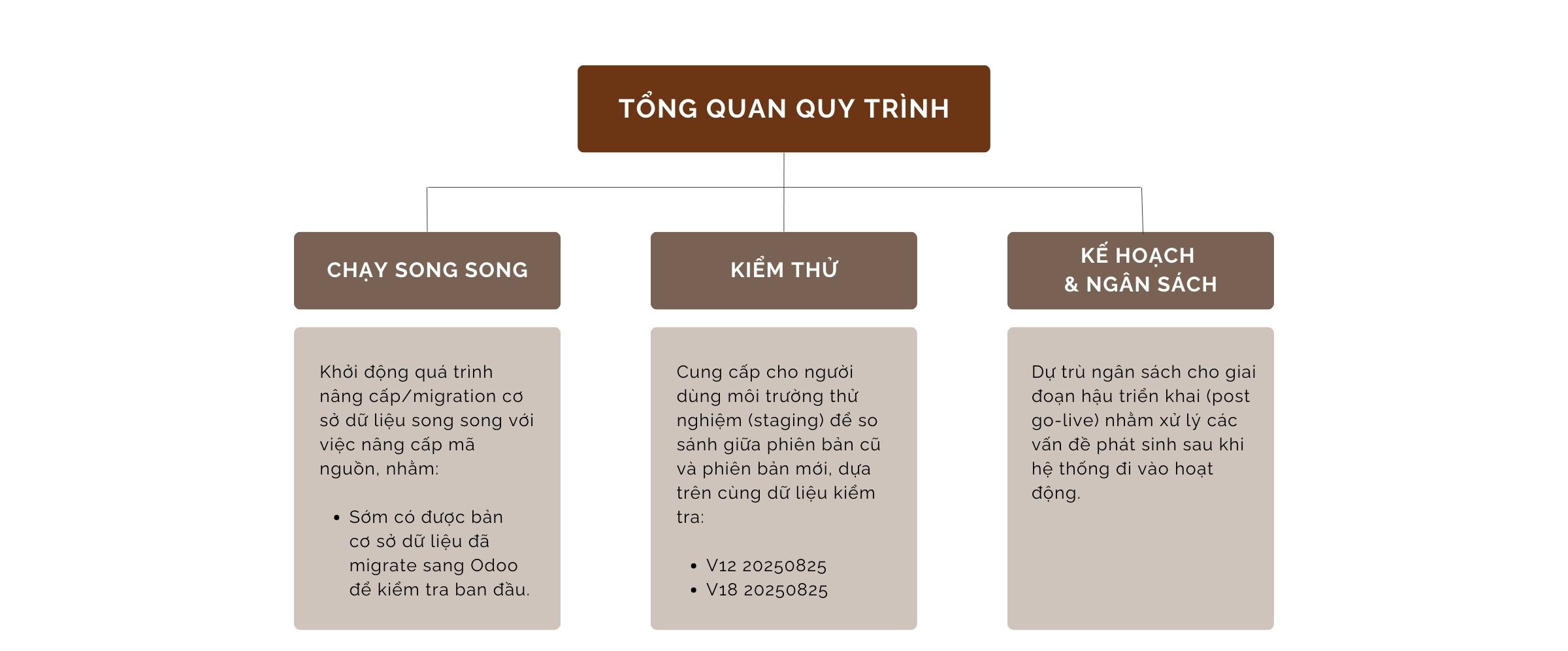 Quy trình tổng thể:
• Thực hiện di trú cơ sở dữ liệu song song với di trú mã nguồn:
◦ nhằm sớm có cơ sở dữ liệu di trú hoàn chỉnh trên Odoo
• Cung cấp môi trường cho người dùng so sánh phiên bản cũ và mới dựa trên cùng mốc dữ liệu:
◦ V12 20250825
◦ V18 20250825
• Dự trù ngân sách cho việc chỉnh sửa sau khi go-live.